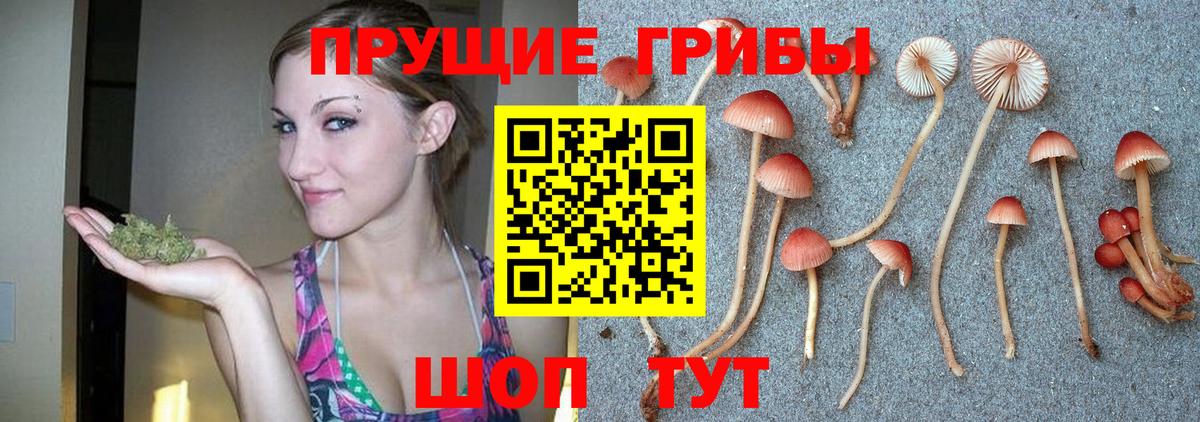 Тельмана  Галлюциногенные грибы мухоморы  сколько стоит  Вход с VPN 