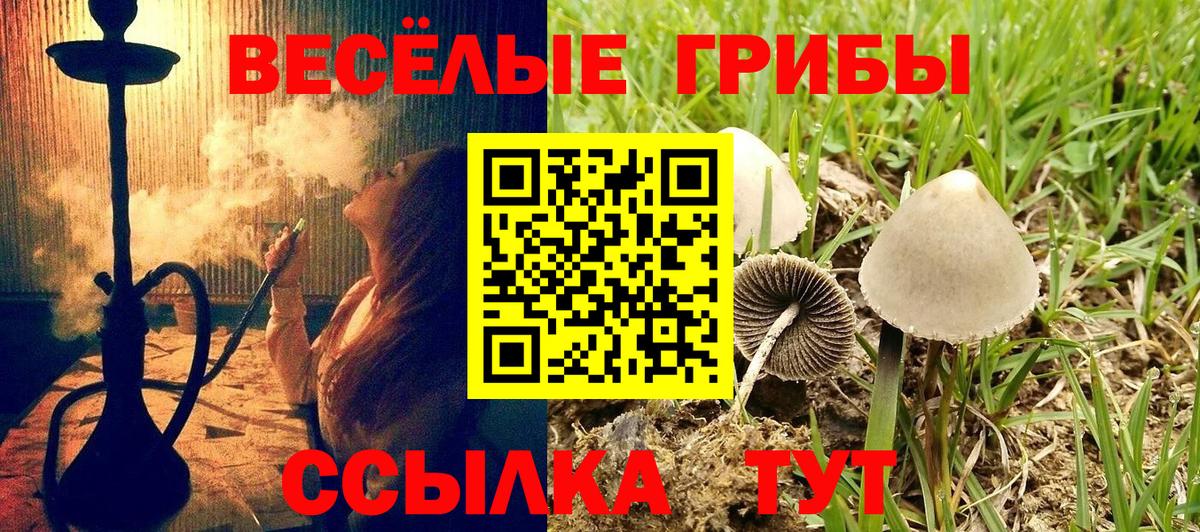 Галлюциногенные грибы GOLDEN TEACHER Тельмана